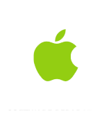 Original Apple IPad Air Software Reparatur