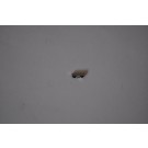 Original Nokia 9300i Infrarot Diode