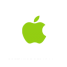 Original Apple IPad 2 Software Reparatur